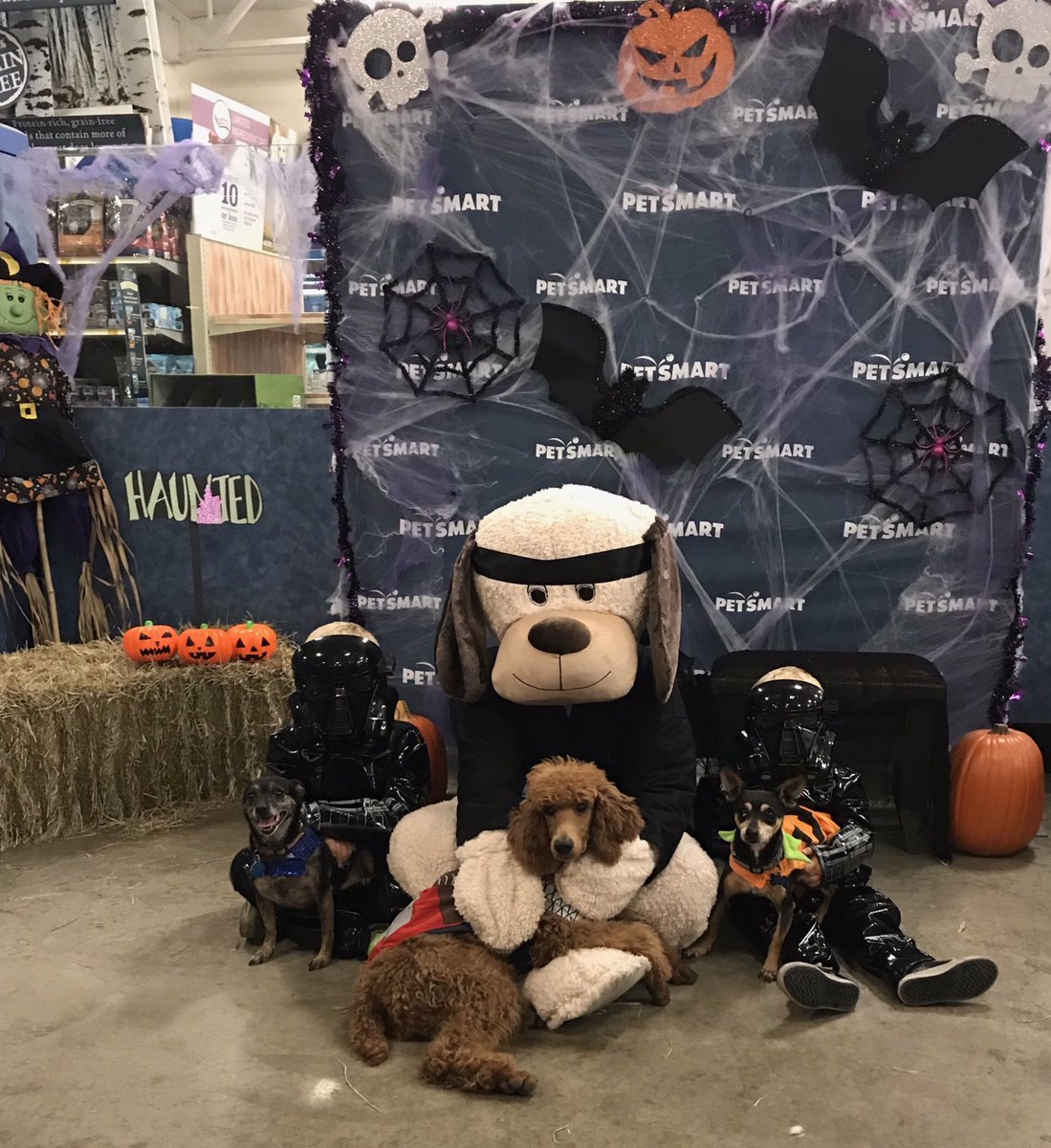 October 21st and 28th from 12pm-3pm come to the Spooktacular Event at PetSmart 🎃 All 5 of my kids loved it! 👻