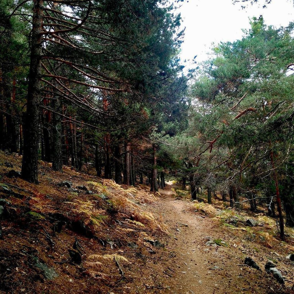 David_GPuerta's tweet photo. La motivaciΓ³n sobra cuando haces lo que mΓ‘s te gusta.
#BandolerosdeGuadarrama #Cercedilla #AsaLove
π x π https://t.co/T0N9HkoStL https://t.co/hCfbMlcMlh