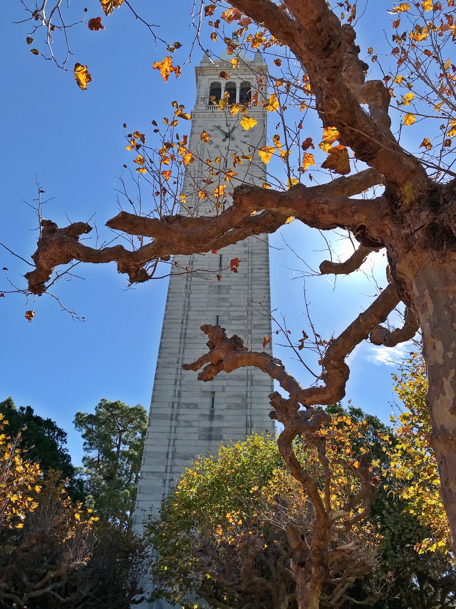 seanyodarouse's tweet photo. A #BeautifulBerkeley Fall day. #SatherTowerSaturday #CalWeekend https://t.co/nR1ZxPxWXE