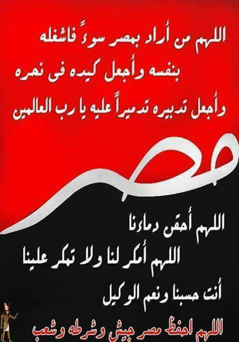 eelnaggar44's tweet photo. اعدموا الخونه واولهم مرسي هو ده الثار https://t.co/JsbBmDIWo1