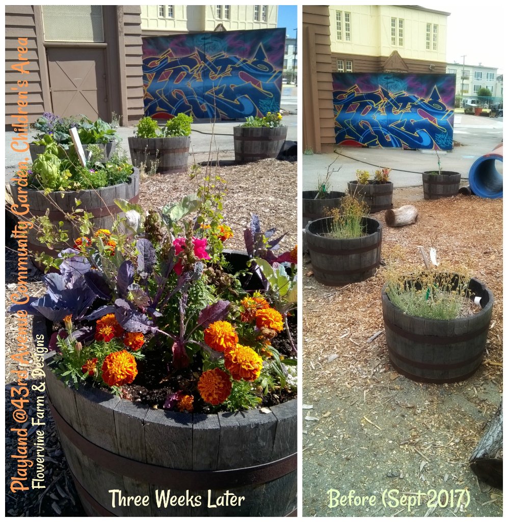 FlowervineMom's tweet photo. My #ChildrensGardenWorkshop results so far #Playlandat43rdAvenue #CommunityGarden #GreeningOurCity #CreatingHabitats https://t.co/nzIbUTiSIZ