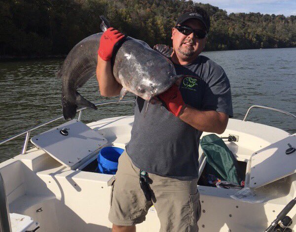 whiskerwear_'s tweet photo. Pig alert! #getyourcatfishon #catfishlife https://t.co/dg9qNlPedu