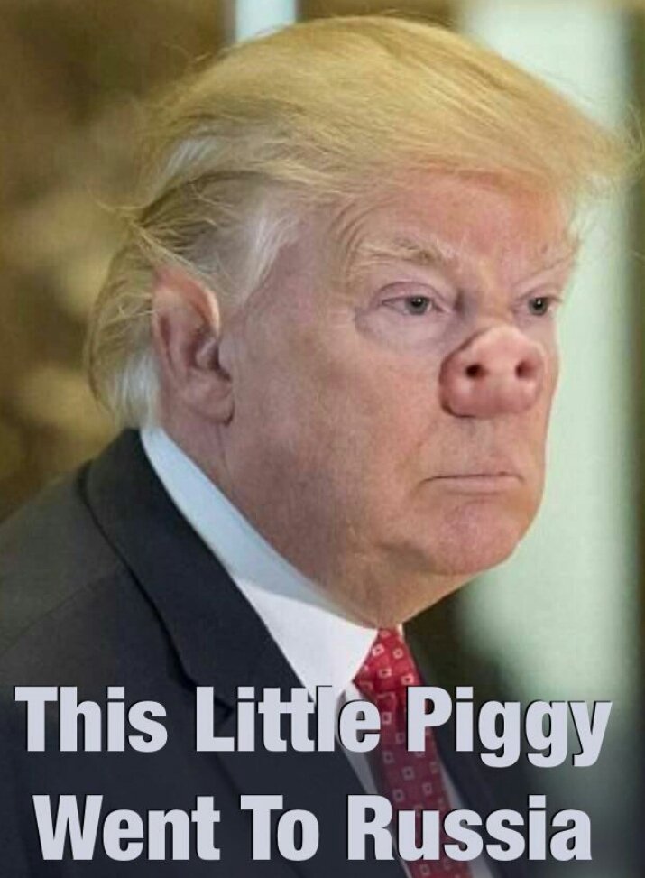 Dax_Gigandet's tweet photo. #TrumpPee #PutinsPuppet #StopTrump #Trump45 #NeverTrump #TrumpResign #Resistance #ImpeachTrump #NotMyPresident #Resist #Trump #UnFit #USA https://t.co/xjfH1HvhwC