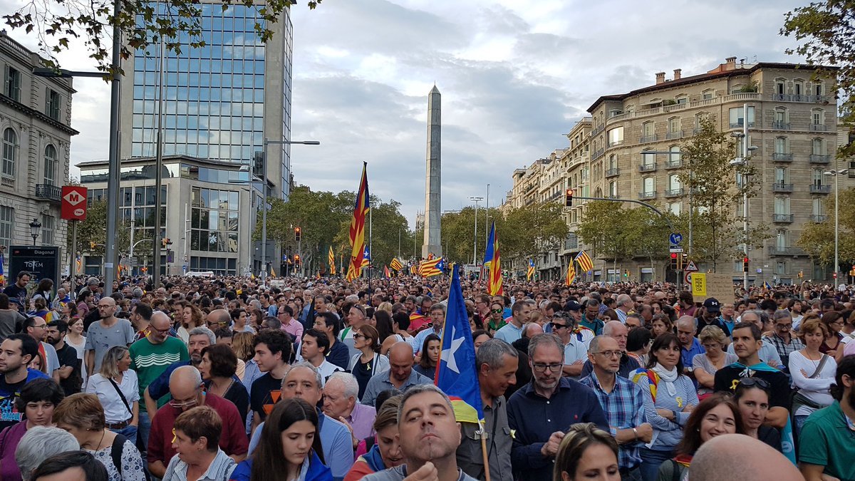 silvia espriu tweet media