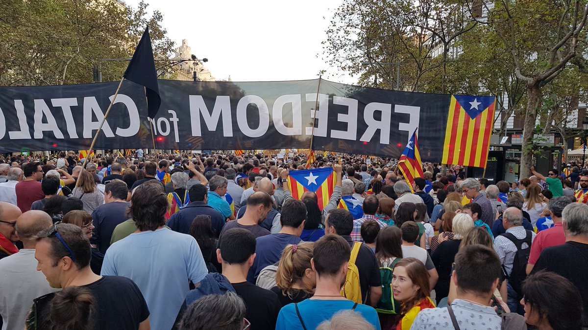 silvia espriu tweet media