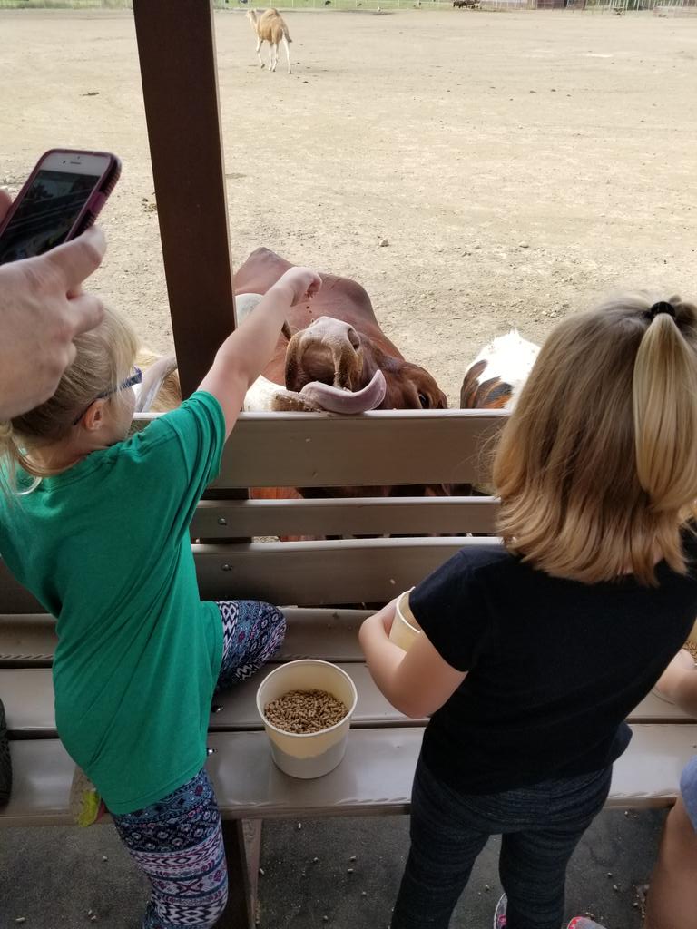 bethlevypet's tweet photo. What a fun day! @WagonTrails and #ironsmill! https://t.co/22zYeacLvT