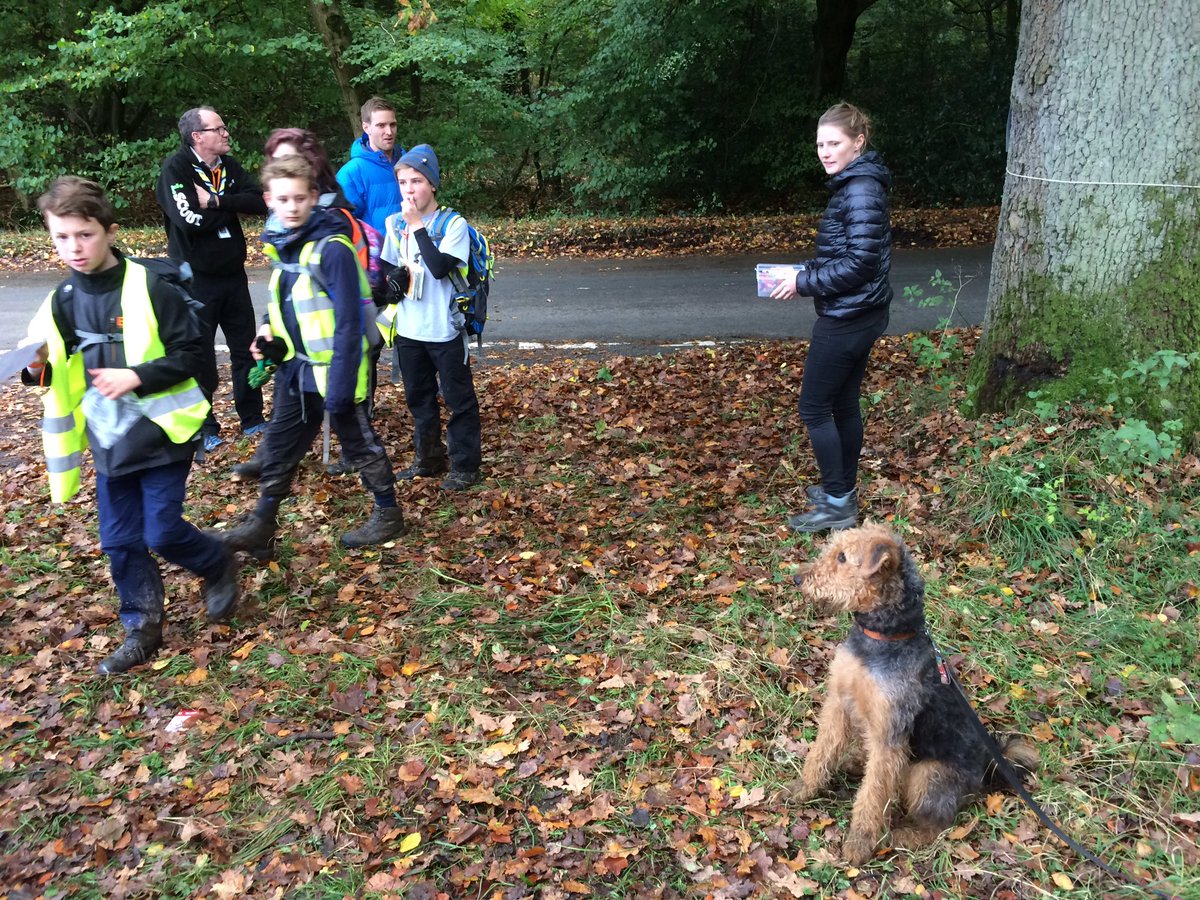 Chris Foster tweet media