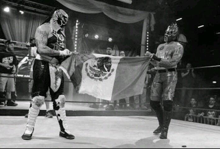 FPentaom's tweet photo. -El que no lucha por lo que quiere,
no merece lo que desea!
#LuchaBrothers #FelizSabado #Nuncaterindas #Animo #Ceromiedo https://t.co/ybOd83zhrf