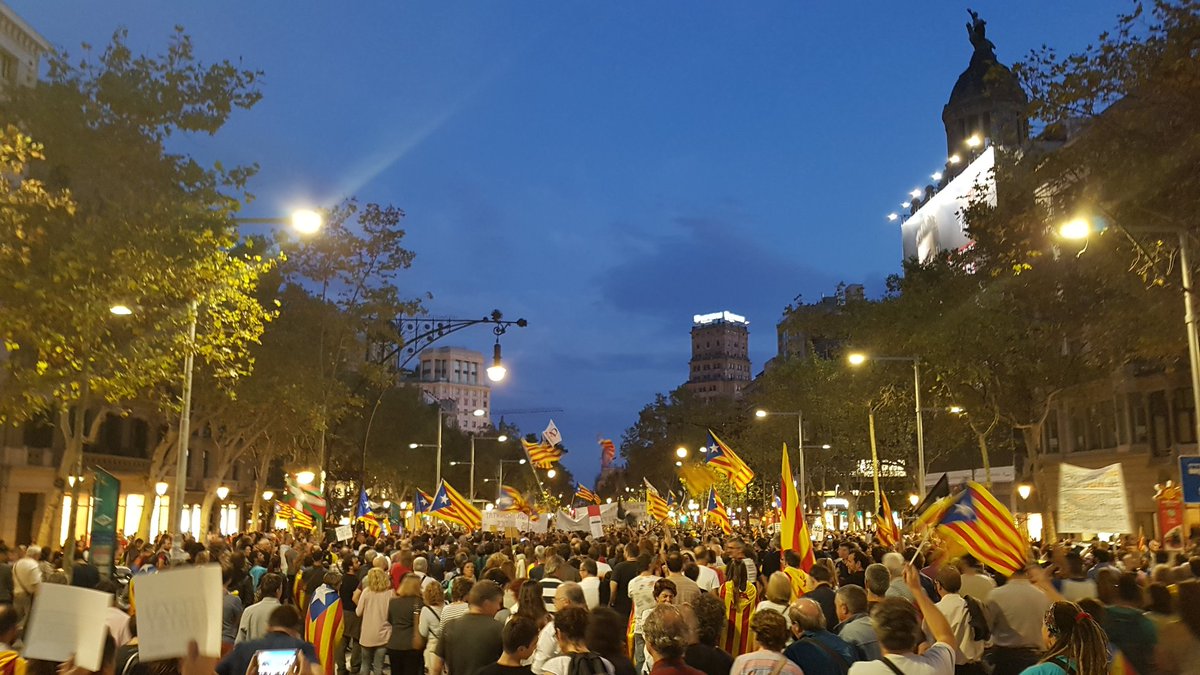 silvia espriu tweet media