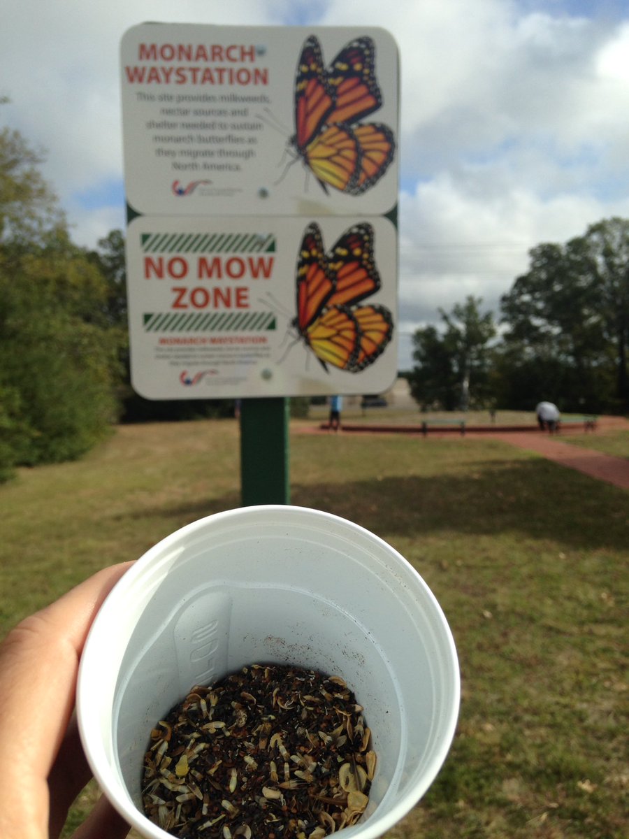 JrGardenista's tweet photo. Planting wildflower seeds for pollinators to enjoy in the Spring. #A&amp;MGardenClub https://t.co/NiGokR34ni