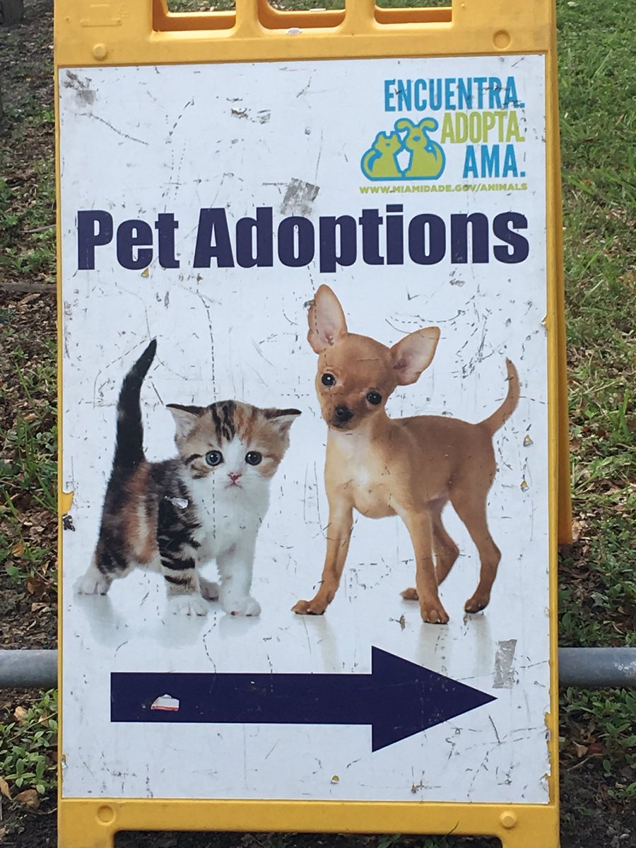 RhondaLopezFL's tweet photo. Had a blast at Tropical Park for the #ASDMegaMatch! Even got some petitions signed. We live in a great community! #AdoptDontShop #HD115 https://t.co/cYtCgEpgOr