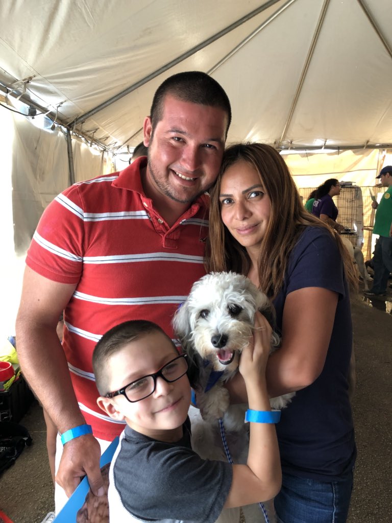 AdoptMiamiPets's tweet photo. 130 adoptions & counting at the 24-hr #ASDMegaMatch! Find a furry match at the pet adoption marathon of love until 11:59PM at Tropical Park! https://t.co/BEAPgfEmlV