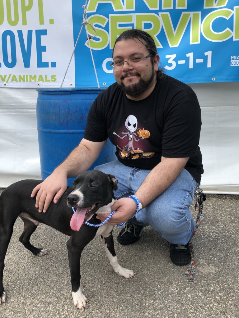 AdoptMiamiPets's tweet photo. 130 adoptions & counting at the 24-hr #ASDMegaMatch! Find a furry match at the pet adoption marathon of love until 11:59PM at Tropical Park! https://t.co/BEAPgfEmlV