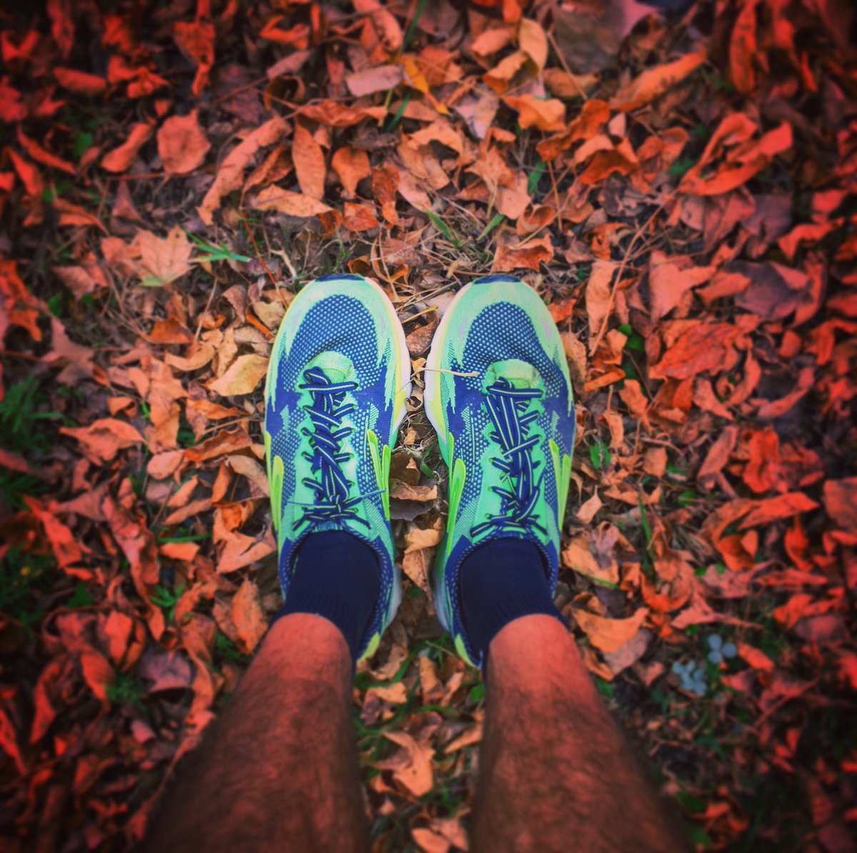 difrancesco's tweet photo. Fall... The most RUNderful time of the year #Run #Running #RunMTL #Trail #MTLMoments #Skechers #GoRun #Fall #Colors https://t.co/Kipfoe0qqg
