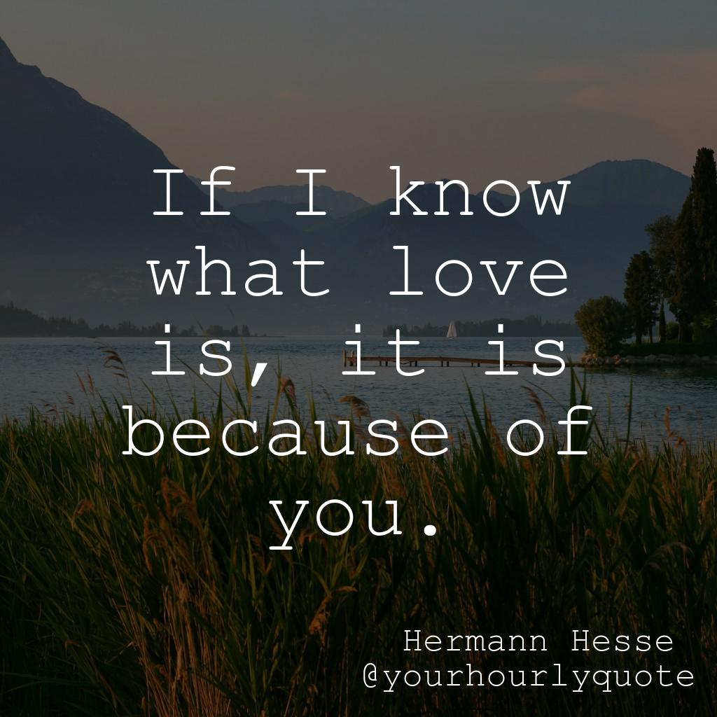yourhourlyquote's tweet photo. https://t.co/c1lrIdwhvI If I know what love is, it is because of you. - Hermann Hesse #thegoodquote #goodquote #QOTD #quotestoremembe https://t.co/fekkoT3Dx2