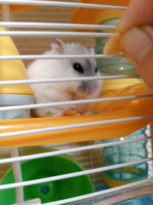 Twitterのコスプレ画像55