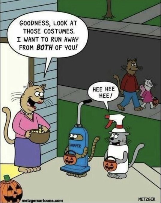 Happy Saturday!!🎃🎃 #Halloween2017 https://t.co/JJQhJjMeoE<a href="/tag/halloween2017"class="tags">#Halloween2017</a>