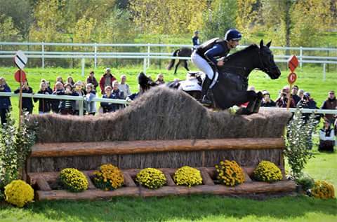 MaelynnWeber's tweet photo. @jamesavery__ en tête du classement provisoire dans l'épreuve des 7ans ! Et Izzy Taylor premier des 6ans ! #mondialdulion #harasnationaux https://t.co/ifUa0p607d