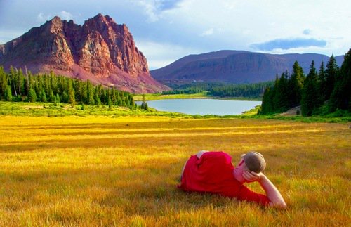 Frommers's tweet photo. It's hard to feel low in the #HighUintas of #Utah: https://t.co/7PD7W4KiHq #SaturdayHike https://t.co/llrmG1ZyQe