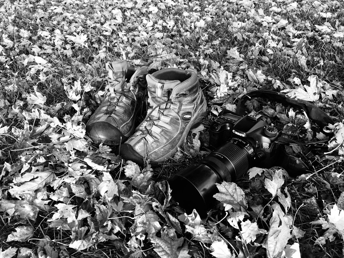 millerdeb11's tweet photo. What is your getaway ?  #outdoors  #fallcolors  # https://t.co/pN9Pjj3FCR