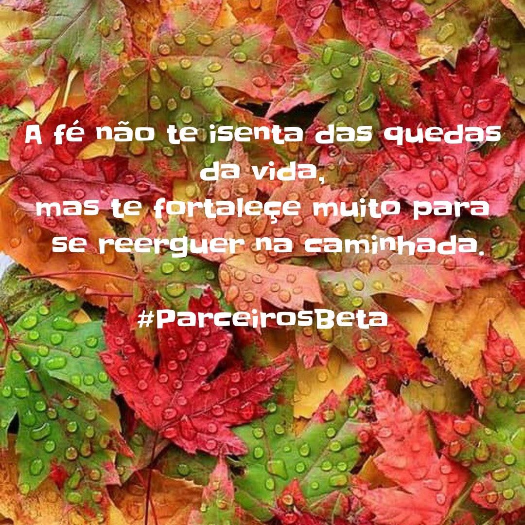 CelinhoTchelo's tweet photo. #Parceirobeta @parceirosbeta https://t.co/lst9cjDPXG