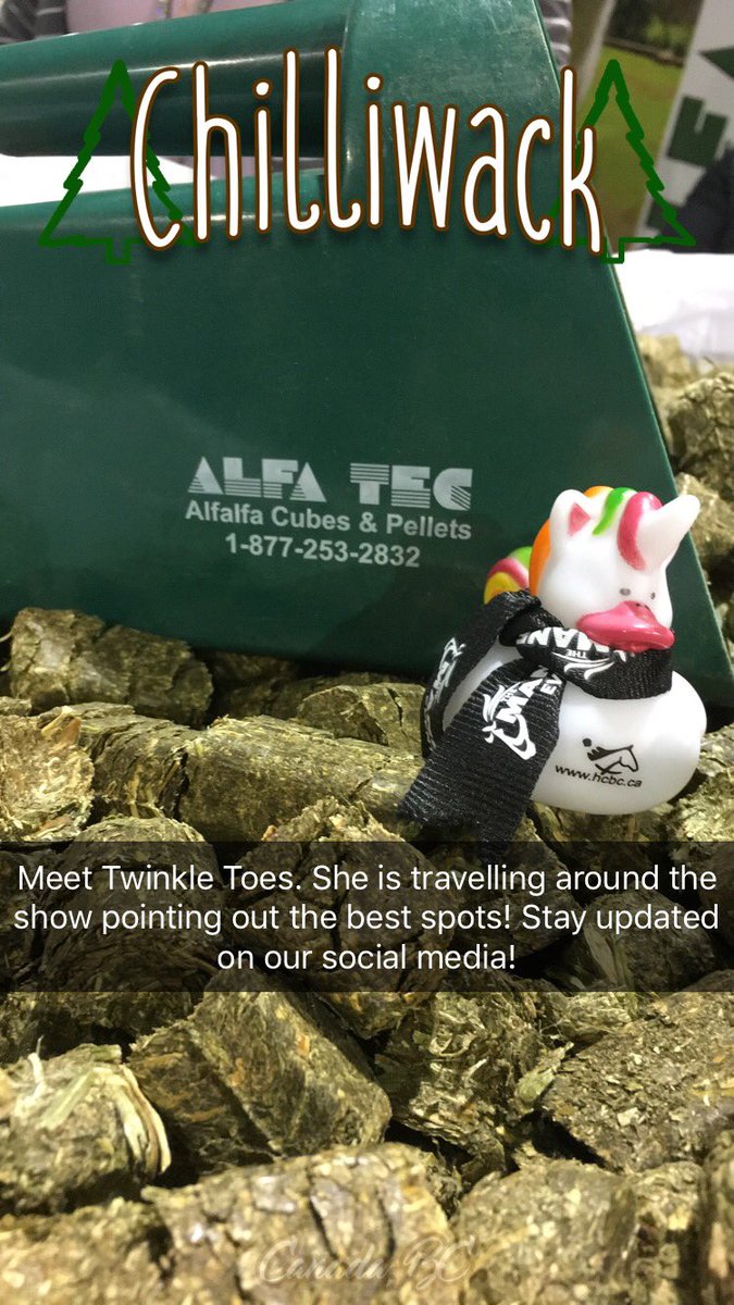 Twinkle Toes is telling you about the best stops at the Mane Event! Follow all of our social media to keep updated! #ManeEventExpo