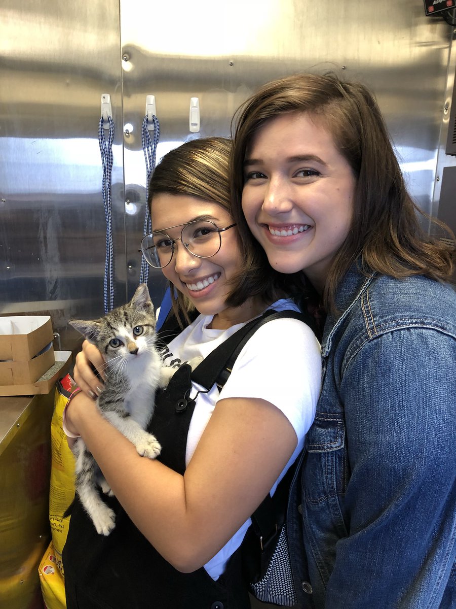 AdoptMiamiPets's tweet photo. Congrats to these adorable 🐱 for finding forever homes! Adopt your perfect pet match during the 24-hr #ASDMegaMatch at Tropical Park! #Miami https://t.co/CScI7hzx8G