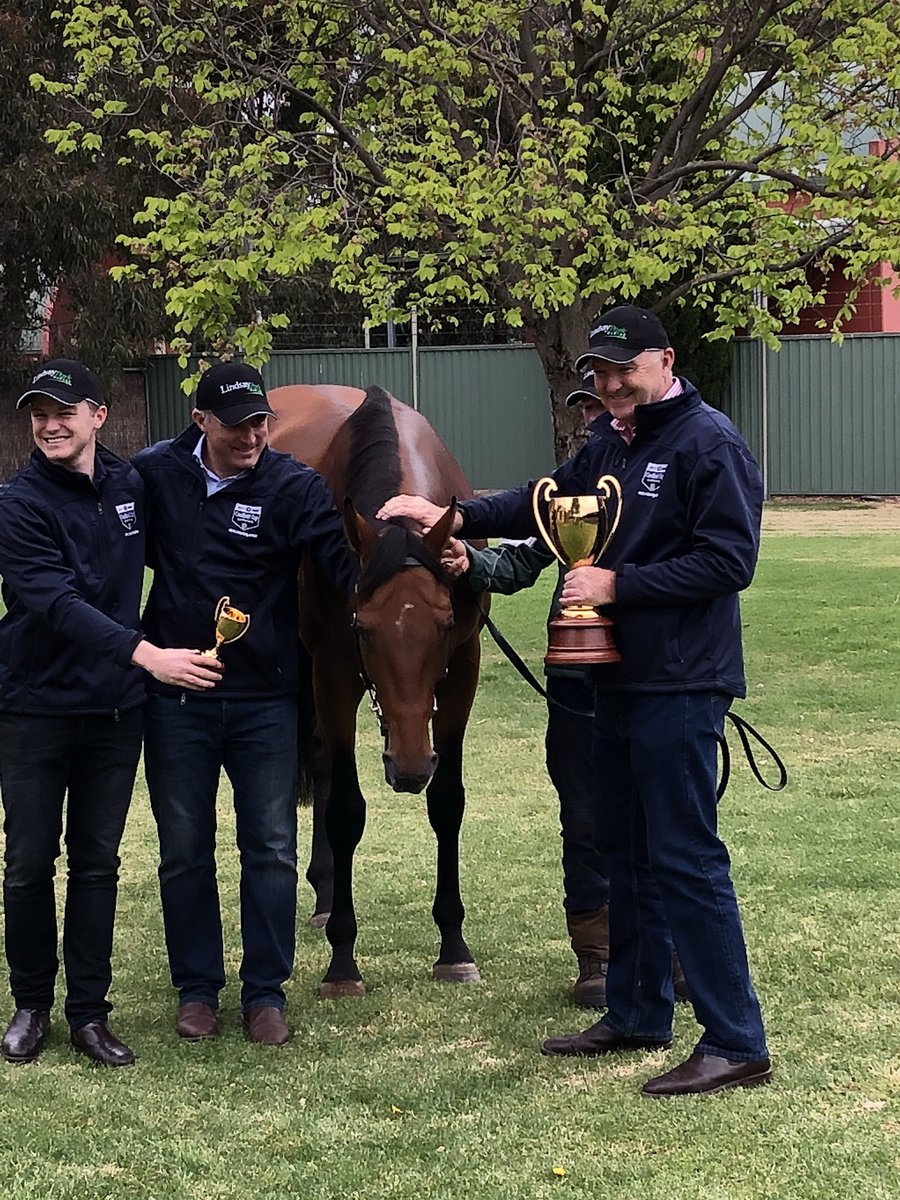 lindsayparkrace's tweet photo. Waking up with the Caulfield Cup 🏆 Boom Time 💥 back at our stable this morning @Caulfield @Racing https://t.co/lsMsdvCsWr