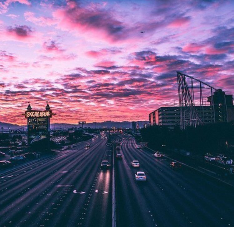 OceanObsessions's tweet image. dazed by the california haze