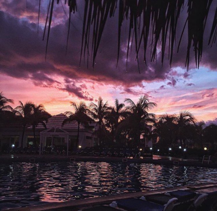 OceanObsessions's tweet image. dazed by the california haze