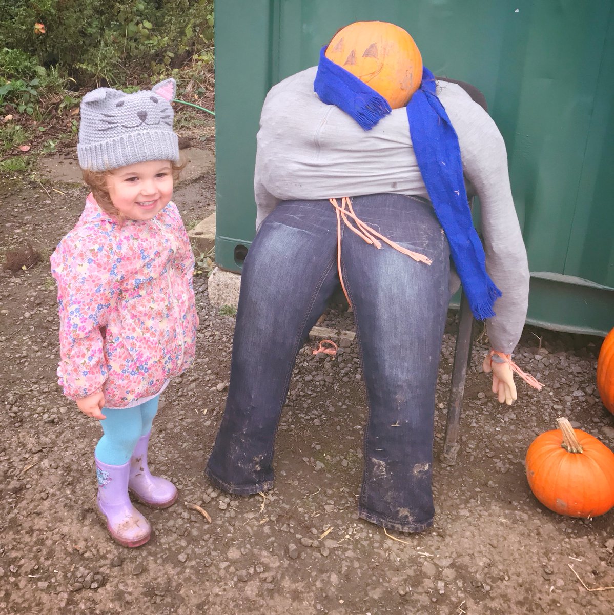 futuremumm's tweet image. Pumpkins picking fun at #Wymeswoldfruitfarm.
