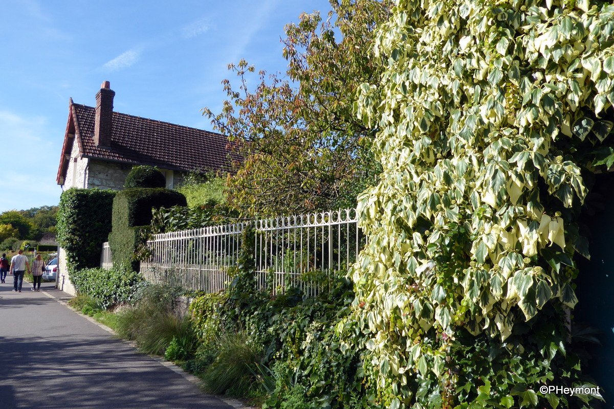 TravelGumbo's tweet photo. #Giverny #MonetsNeighborhood #TinyVillage, #BigAttraction #ttot
TravelGumbo #FeaturedDestination Oct. 24
https://t.co/2jETKE7dte https://t.co/K5wEVQ4ozb