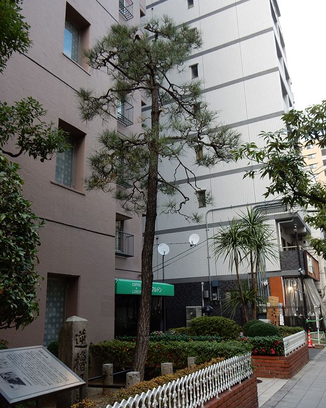 逆櫓の段 逆櫓の段