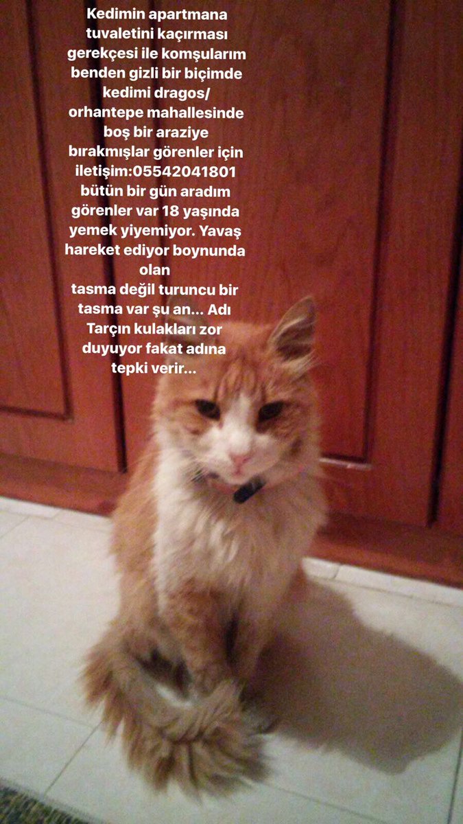 Lütfen paylaşın!!!!! Şimdiden teşekkür ediyorum.