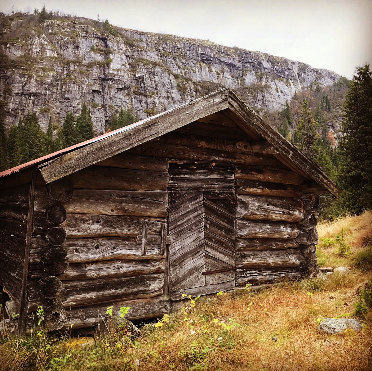 This autumn in #Norway #Buskerud