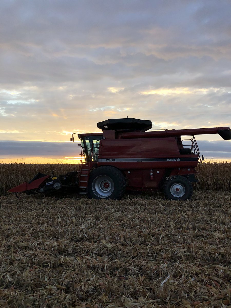 agronomylifer's tweet photo. If u told me we’d be picking 19% corn this yr I would’ve said no way. DKC52-84 nice, dry and consistent #yieldhunt17 #themortgagelifter https://t.co/zvR0yvWOVt