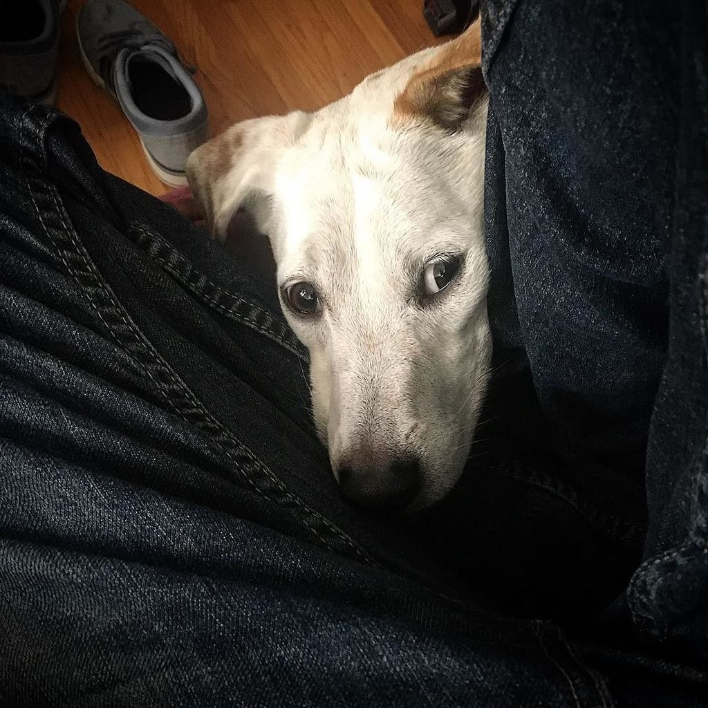 BrandonRuling's tweet image. peek a Boo! #begger ift.tt/2hWgI2u