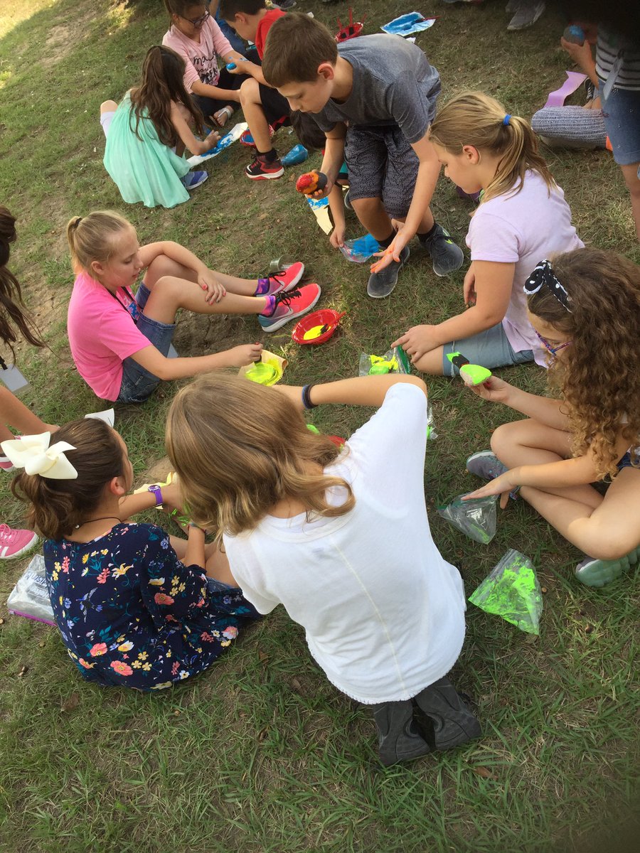 stacieporcz's tweet photo. Painting our rocks for KindMinds @Hamilton_Lions #HESKindMinds #KMChallengeOct https://t.co/5eT7vhOWnq