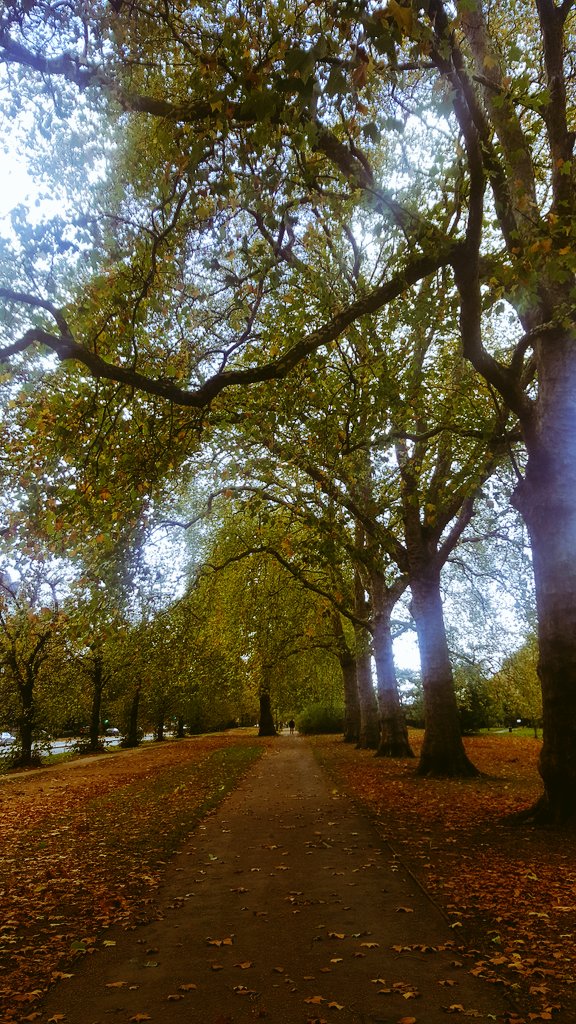 Michael O'Neill tweet media