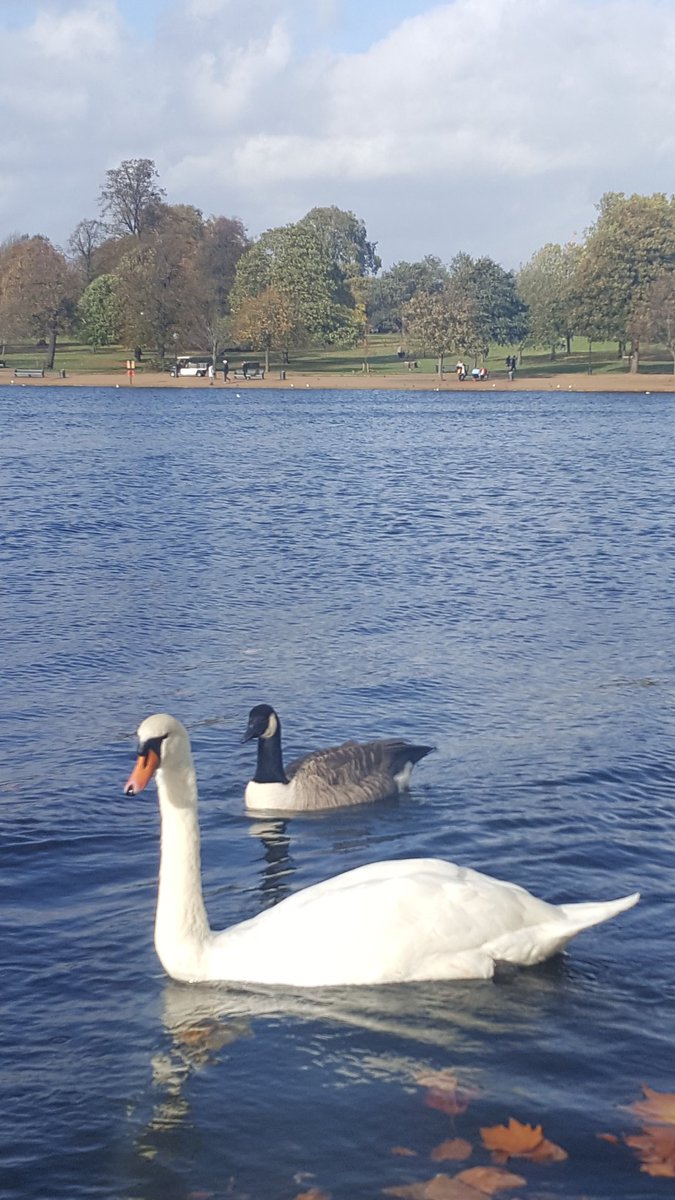 Michael O'Neill tweet media