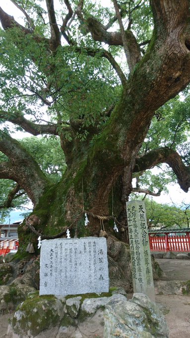 宇美八幡宮 福岡県糟屋郡 安産祈願 戌の日 詳細 境内 祈祷受付 申込 駐車場など