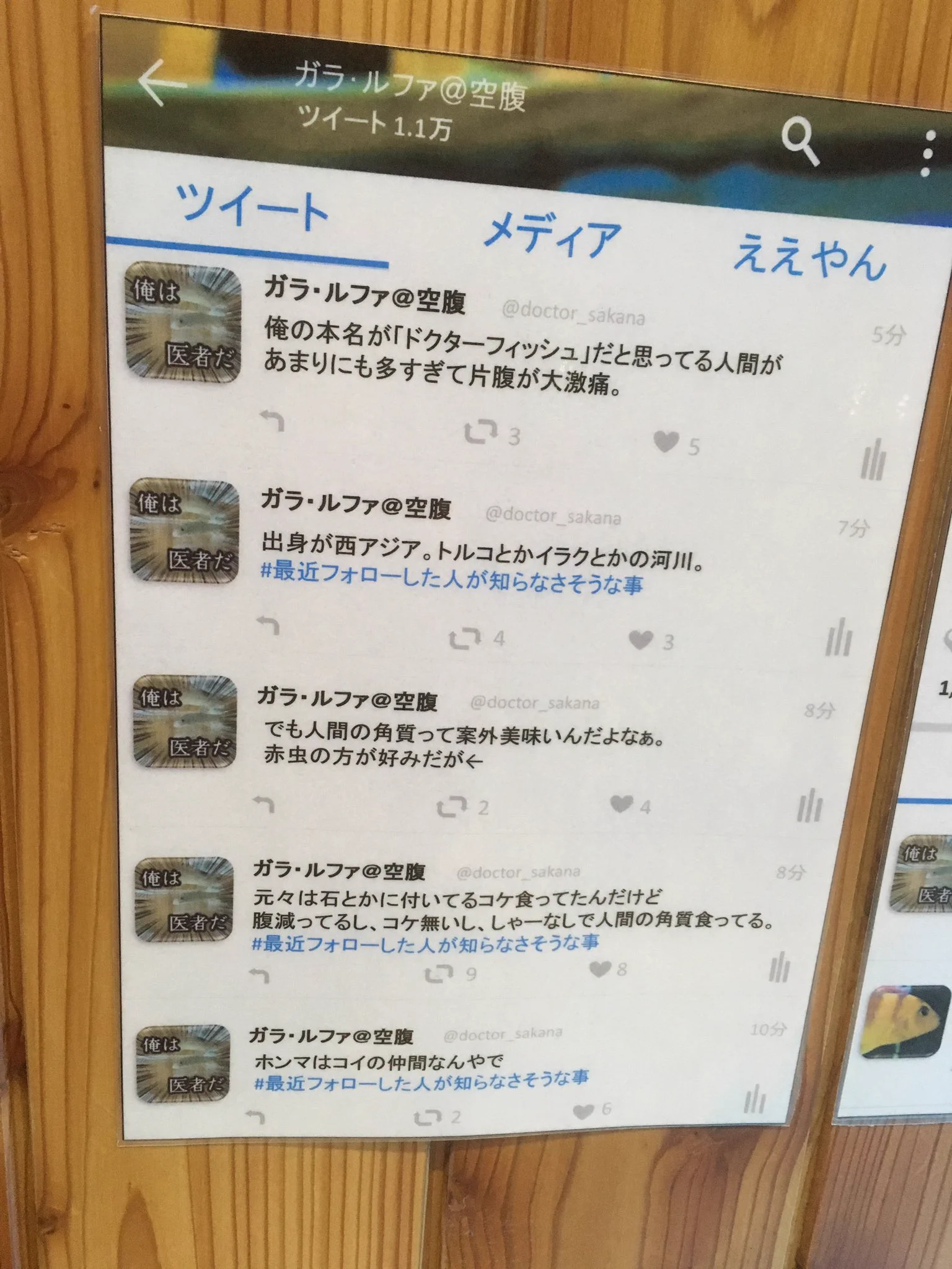 ふむふむLINEにTwitterの画面かな・・・？水族館の展示方法が斬新すぎるｗｗｗ