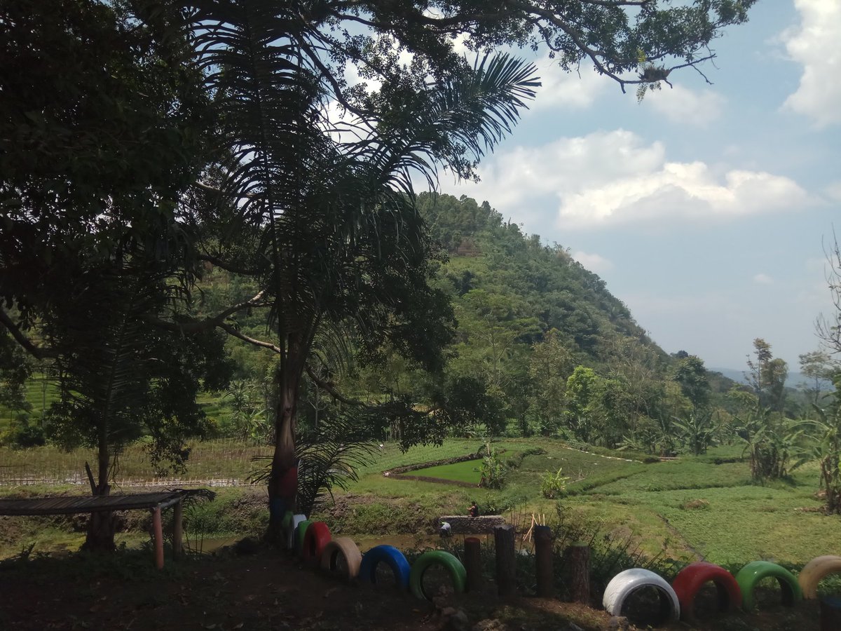 Pemdes Karangsari Wiloci Menyuguhkan Pemandangan Asli