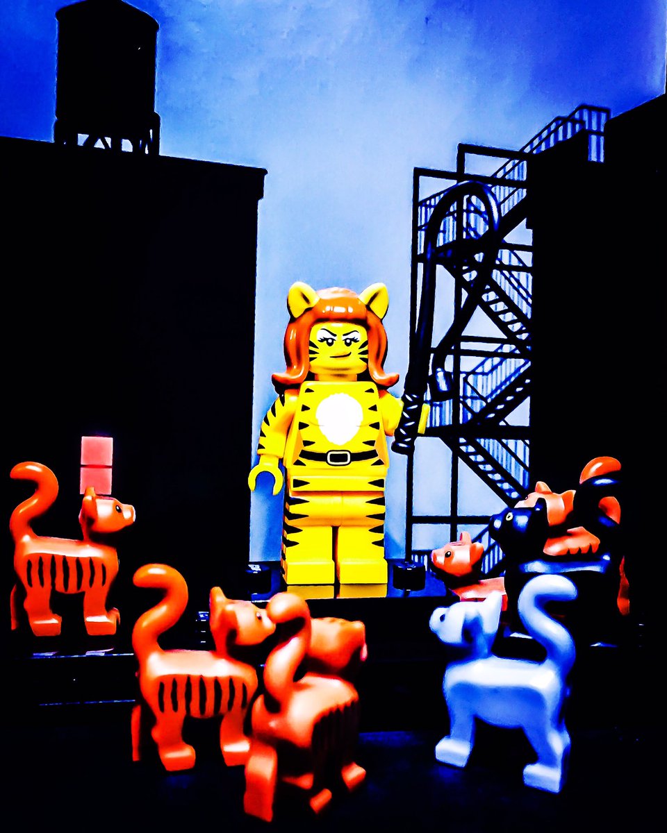 Legismo's tweet photo. Meow with me 🐈 #lego #minifigures #cat #legocatwoman #gato #señorlego #legomx #catpower #podergatuno #legominifigures https://t.co/8Ddgyacr9K