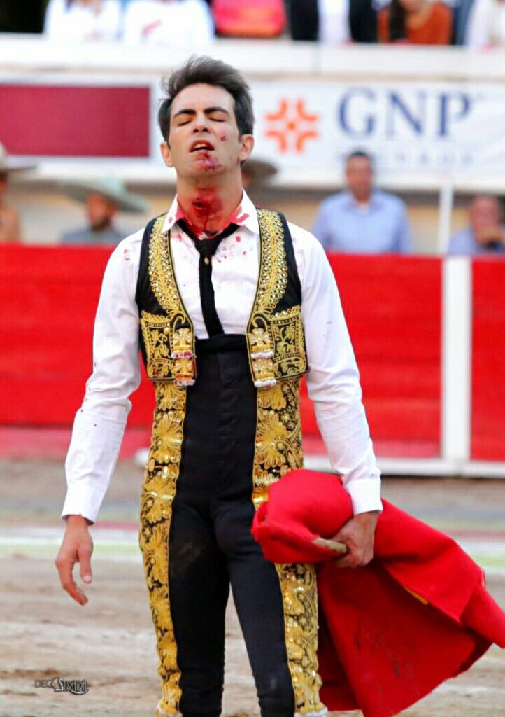 AlToroAgs's tweet photo. Cornadón en el cuello para @ArturoMaciasOF #ElCejas Por fortuna se encuentra bien. https://t.co/lgOQEV0ImQ