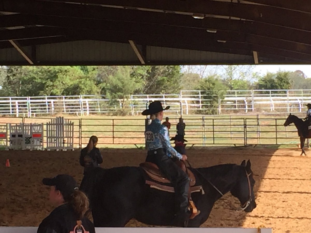 RileySummerall1's tweet photo. Overall great day at the Last Lap Ranch IEA Show. Three 1st place and one 3rd place finish out of 4 rides! @BooMajor1 @ScadEqMag @AuburnEQ https://t.co/bEbWfXhQnC
