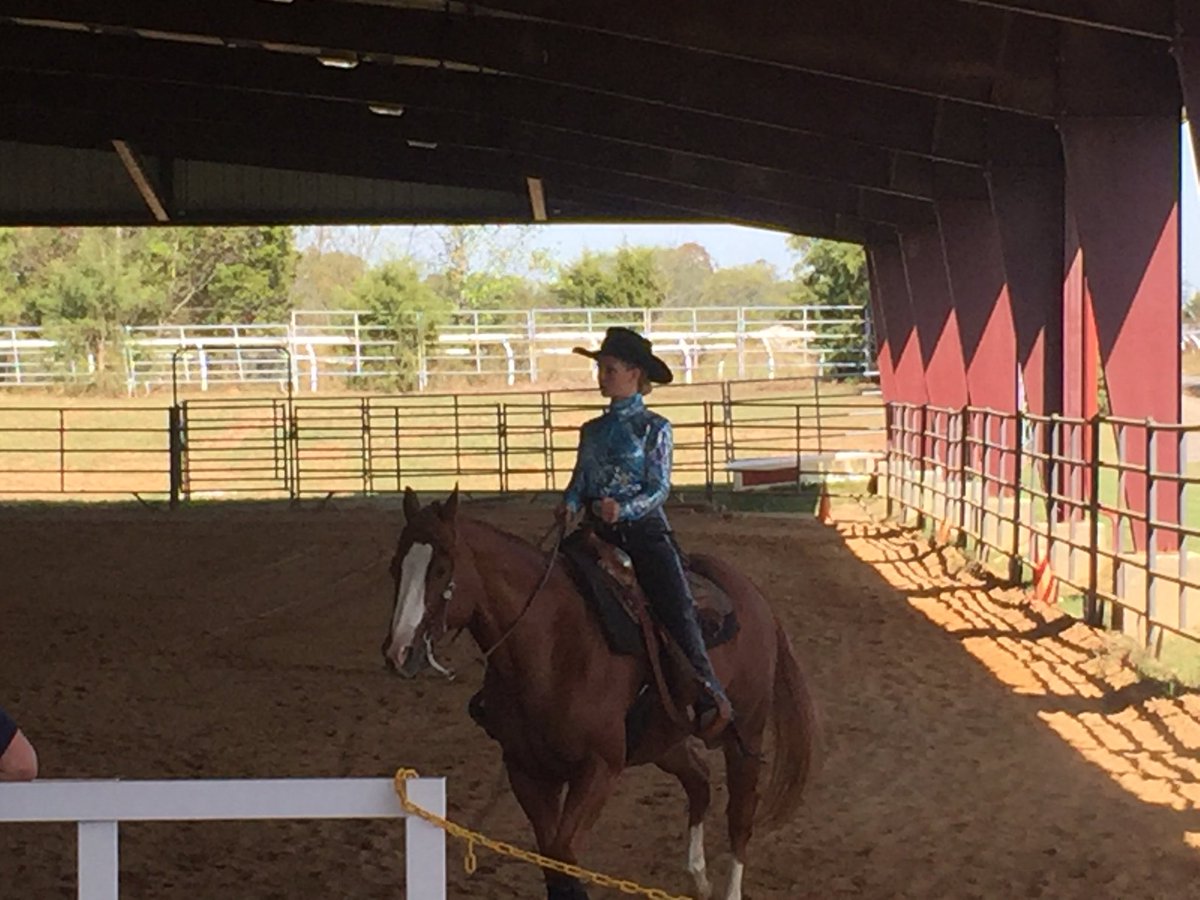 RileySummerall1's tweet photo. Overall great day at the Last Lap Ranch IEA Show. Three 1st place and one 3rd place finish out of 4 rides! @BooMajor1 @ScadEqMag @AuburnEQ https://t.co/bEbWfXhQnC