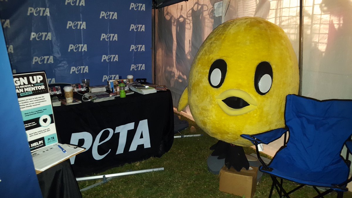 peta's tweet photo. @thelittleidiot Come check out our #VR booth at @OneLoveFestNow and get your picture with #NotANugget! https://t.co/4Joesqr6dG