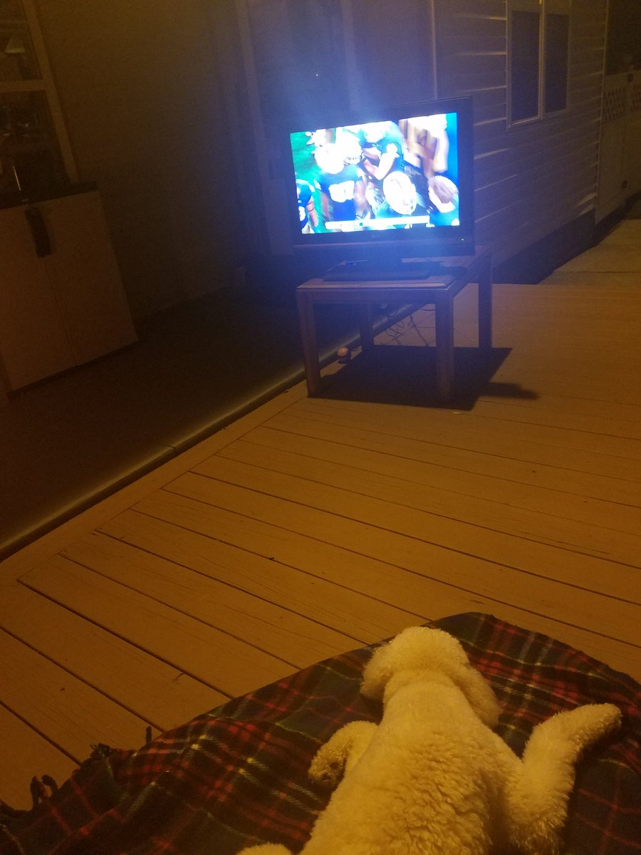 dawngal11's tweet photo. @espngolic @NDmom .  Bentley says go Irish!  Mom would really like a bobble head! https://t.co/99jCmCco9a