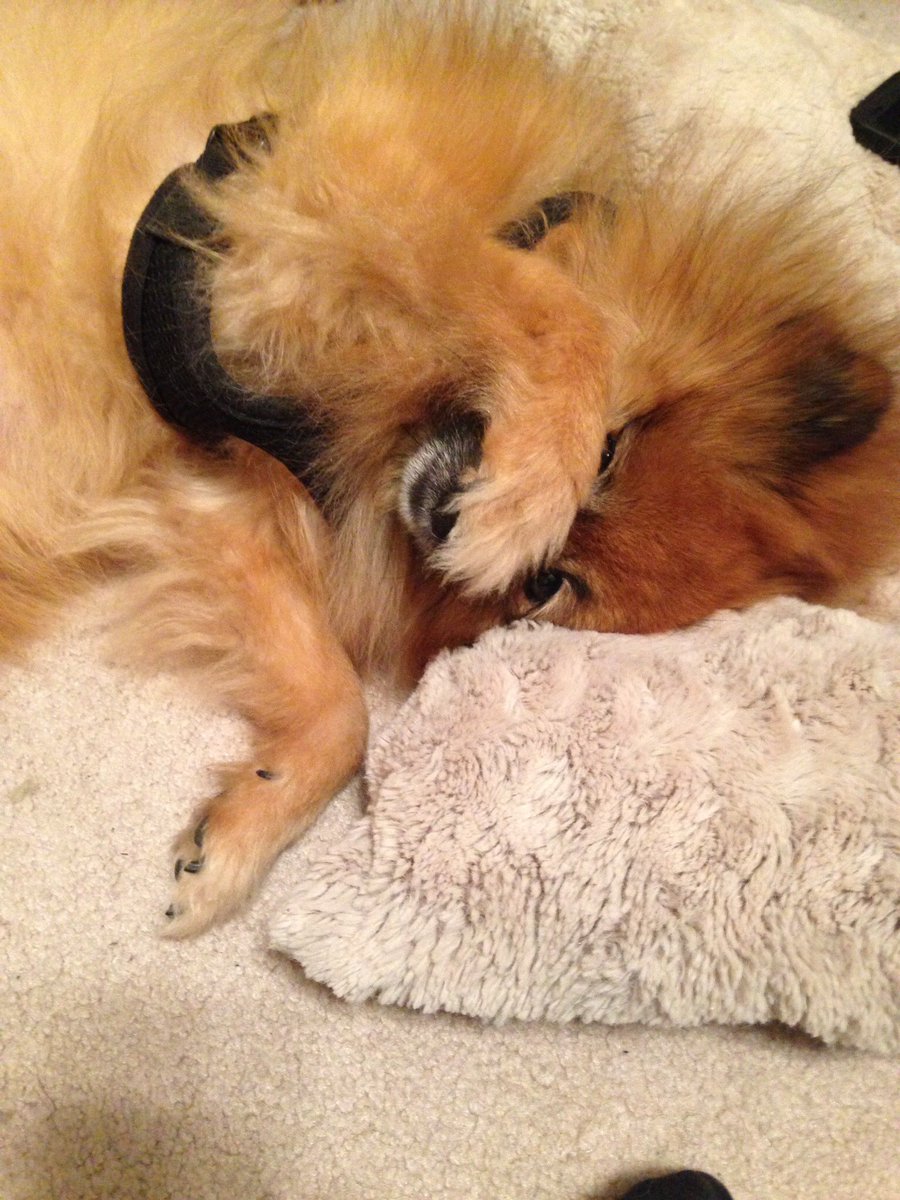 Good night! Sweet Dreams! 💞